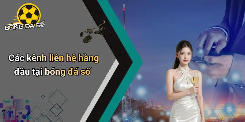Liên Hệ 2 Liên Hệ