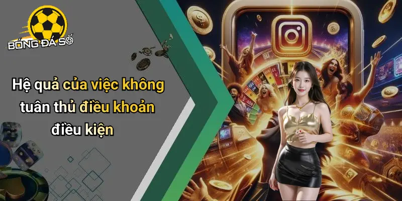 Điều Khoản Điều Kiện