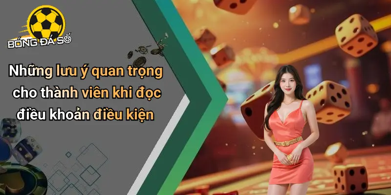 Điều Khoản Điều Kiện