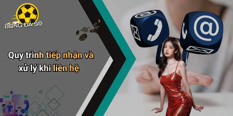 Liên Hệ 3 Liên Hệ