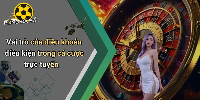 Điều Khoản Điều Kiện