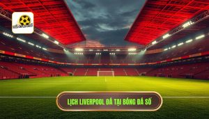 Liverpool đá mấy giờ? Cập nhật lịch thi đấu và giờ G của The Kop
